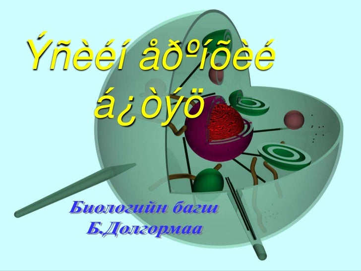 эсийн бүтэц