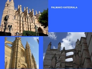 PALMAKO KATEDRALA
 