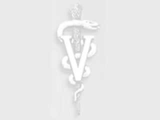 3-etica-x-mor00000000000000000000al-.ppt