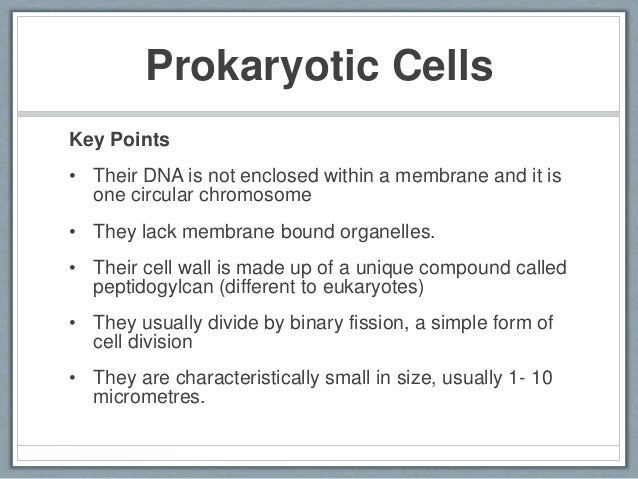 Eukaryotic vs Prokaryotic Cells