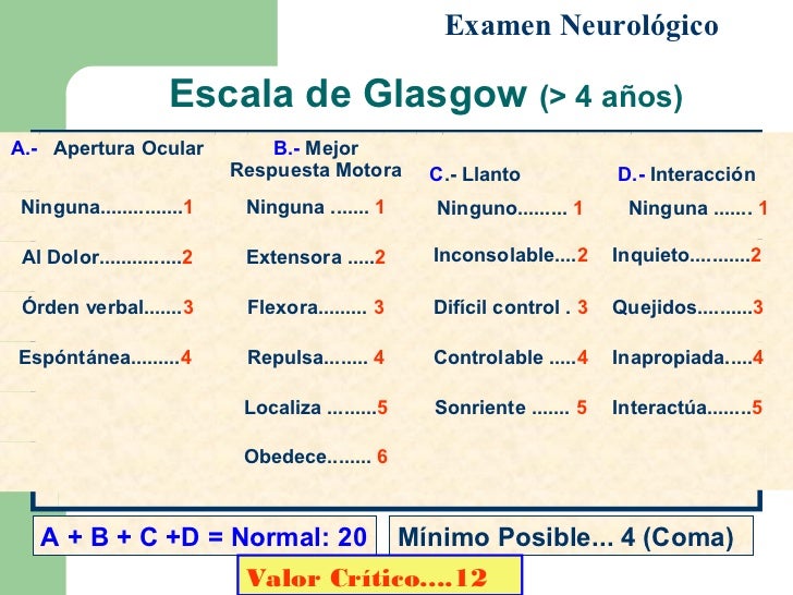 Examen fisico urologico pdf files