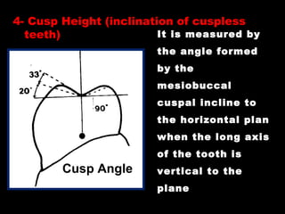 It is measured by
the angle formed
by the
mesiobuccal
cuspal incline to
the horizontal plan
when the long axis
of the tooth is
vertical to the
plane
Cusp Angle
4-4- Cusp Height (inclination of cusplessCusp Height (inclination of cuspless
teeth)teeth)
 