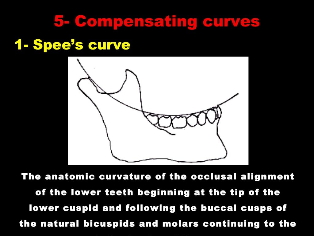 3 Factors affecting balanced occlusion final