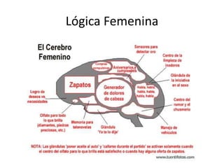 Lógica Femenina
 