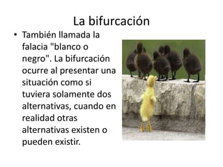 La bifurcación
• También llamada la
  falacia "blanco o
  negro". La bifurcación
  ocurre al presentar una
  situación como si
  tuviera solamente dos
  alternativas, cuando en
  realidad otras
  alternativas existen o
  pueden existir.
 
