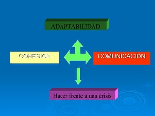 3. Familia y Depresion, Tepatitlan, 2005