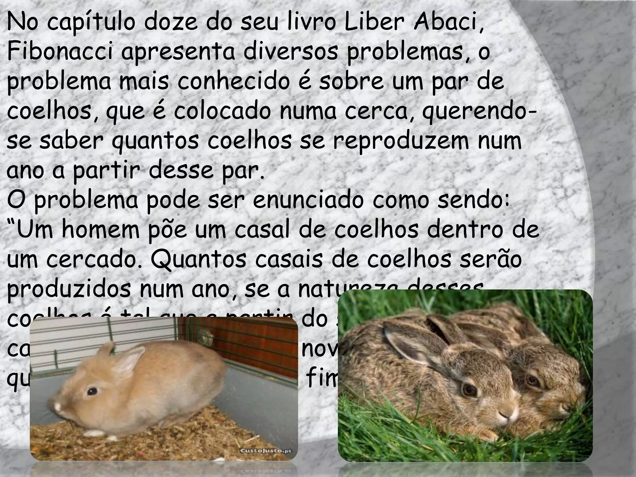 No capítulo doze do seu livro Liber Abaci,
Fibonacci apresenta diversos problemas, o
problema mais conhecido é sobre um par de
coelhos, que é colocado numa cerca, querendo-
se saber quantos coelhos se reproduzem num
ano a partir desse par.
O problema pode ser enunciado como sendo:
“Um homem põe um casal de coelhos dentro de
um cercado. Quantos casais de coelhos serão
produzidos num ano, se a natureza desses
coelhos é tal que a partir do segundo mês um
casal gera a cada mês um novo casal de coelhos
que se torna produtivo ao fim de dois meses?”
 
