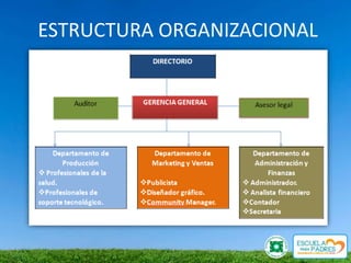 ESTRUCTURA ORGANIZACIONAL
 
