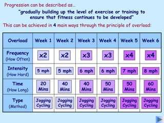 3. fitness,training & exercise | PPT