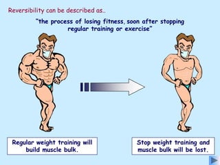 3. fitness,training & exercise | PPT