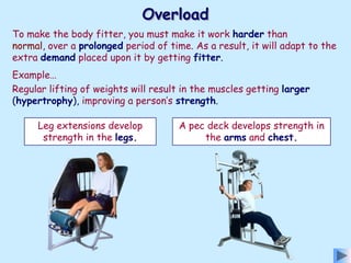 3. fitness,training & exercise | PPT