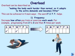 3. fitness,training & exercise | PPT