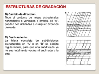 ESTRUCTURAS DE GRADACIÓN
B) Cambio de dirección.
Todo el conjunto de líneas estructurales
horizontales o verticales o ambas, de “A”,
pueden ser inclinadas a cualquier dirección
deseada.


C) Deslizamiento.
La hilera completa de subdivisiones
estructurales en “A” o en “B” se desliza
regularmente, para que una subdivisión ya
no sea totalmente vecina ni encimada a la
otra.
 
