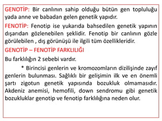 GENOTİP: Bir canlının sahip olduğu bütün gen topluluğu
yada anne ve babadan gelen genetik yapıdır.
FENOTİP: Fenotip ise yukarıda bahsedilen genetik yapının
dışarıdan gözlenebilen şeklidir. Fenotip bir canlının gözle
görülebilen , dış görünüşü ile ilgili tüm özellikleridir.
GENOTİP – FENOTİP FARKLILIĞI
Bu farklılığın 2 sebebi vardır.
       * Birincisi genlerin ve kromozomların dizilişinde zayıf
genlerin bulunması. Sağlıklı bir gelişimin ilk ve en önemli
şartı zigotun genetik yapısında bozukluk olmamasıdır.
Akdeniz anemisi, hemofili, down sendromu gibi genetik
bozukluklar genotip ve fenotip farklılığına neden olur.
 