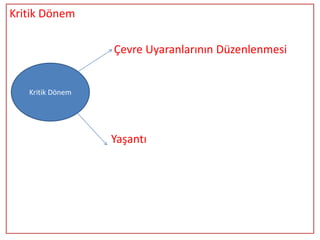 Kritik Dönem

                  Çevre Uyaranlarının Düzenlenmesi


   Kritik Dönem




                  Yaşantı
 