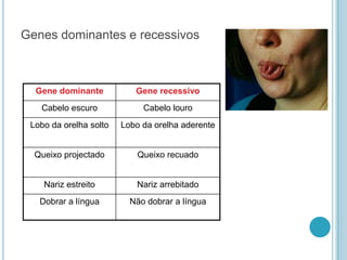 Genes dominantes e recessivos



  Gene dominante           Gene recessivo
   Cabelo escuro             Cabelo louro
 Lobo da orelha solto   Lobo da orelha aderente


  Queixo projectado         Queixo recuado


    Nariz estreito         Nariz arrebitado
   Dobrar a língua        Não dobrar a língua
 