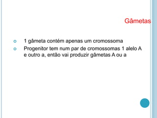 Gâmetas

   1 gâmeta contém apenas um cromossoma
   Progenitor tem num par de cromossomas 1 alelo A
    e outro a, então vai produzir gâmetas A ou a
 
