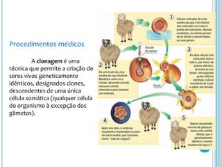 Procedimentos médicos

         A clonagem é uma
técnica que permite a criação de
seres vivos geneticamente
idênticos, designados clones,
descendentes de uma única
célula somática (qualquer célula
do organismo à excepção dos
gâmetas).
 