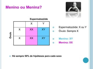 Menino ou Menina?

                       Espermatozóide

                        X         Y
                                              Espermatozóide: X ou Y
              X        XX        XY
                                              Óvulo: Sempre X
 Óvulo




              X        XX        XY           Menino: XY
                                              Menina: XX




        Há sempre 50% de hipóteses para cada sexo
 