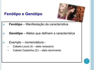 Fenótipo e Genótipo

       Fenótipo – Manifestação da característica

       Genótipo – Alelos que definem a característica

       Exemplo – nomenclatura -
         Cabelo Louro (l) – alelo recessivo
         Cabelo Castanho (C) – alelo dominante
 