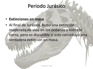 Periodo Jurásico
• Extinciones en masa
• Al final de Jurásico, hubo una extinción
moderada de vida en los océanos y sobre la
tierra, pero es discutible si esto constituyó una
verdadera extinción en masa.
V. Miranda - 2022
 