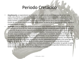 Periodo Cretácico
• Anquilosaurios, se especializaron en el blindaje, con presencia de placas óseas bajo la piel del dorso,
cuello, cola y flancos, así como de refuerzos óseos en el cráneo. Poseían pequeños cuernos óseos en la
cabeza y variadas pautas de espinas, también óseas, dispuestas sobre el dorso. Los anquilosaurios más
tardíos también poseían una masa de hueso fusionado en el extremo de la cola que debía ejercer la
función de una pesada maza oscilante, que podía golpear las piernas de un atacante mientras el animal se
mantenía pegado al suelo.
• Terópodos: Entre los terópodos carnívoros podríamos incluir diversas formas. El rasgo más destacado es su
inmensa garra en forma de hoz, medía 30 centímetros, más que considerable para un animal de 9 metros.
El desarrollo de garras curvas, especialmente diseñadas para destripar a las presas, parece haberse dado
de forma independiente en un cierto número de terópodos. Tyrannosaurus rex, fue el mayor carnívoro
terrestre, mayor también que cualquiera de los carnívoros que le sucedieron. Alcanzaba una longitud de
14 metros, una altura de 6 metros y un peso de 5 toneladas. En sus mandíbulas se alineaban dientes de 15
centímetros de longitud. Las patas traserasde Tyrannosaurus eran muy fuertes y macizas, con tres dedos
en cada pie. Sus brazos, en cambio, parecen casi ridículos: extremadamente delgados y tan cortos que no
llegaban a la boca, y con sólo dos dedos. La sólida cabeza no presenta el sistema de ahorro de peso
observado en otros carnívoros, y parece estar diseñada para golpear. Un depredador tan grande no podía
correr velozmente durante mucho tiempo. Seguramente se alimentaba de grandes herbívoros a los que
tendía emboscadas, o bien de animales ya debilitados o muertos.
V. Miranda - 2022
 