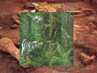 Paleoceno
V. Miranda - 2022
 