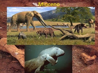 Mioceno
V. Miranda - 2022
 