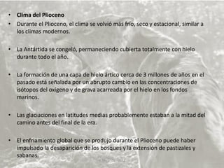 • Clima del Plioceno
• Durante el Plioceno, el clima se volvió más frío, seco y estacional, similar a
los climas modernos.
• La Antártida se congeló, permaneciendo cubierta totalmente con hielo
durante todo el año.
• La formación de una capa de hielo ártico cerca de 3 millones de años en el
pasado está señalada por un abrupto cambio en las concentraciones de
isótopos del oxígeno y de grava acarreada por el hielo en los fondos
marinos.
• Las glaciaciones en latitudes medias probablemente estaban a la mitad del
camino antes del final de la era.
• El enfriamiento global que se produjo durante el Plioceno puede haber
impulsado la desaparición de los bosques y la extensión de pastizales y
sabanas.
V. Miranda - 2022
 