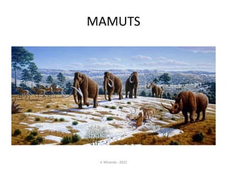 MAMUTS
V. Miranda - 2022
 
