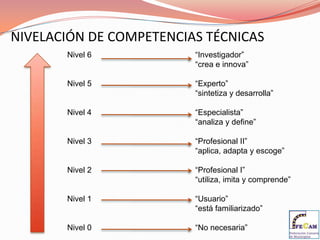 Implantación de modelos y principios de gestión empresarial: 