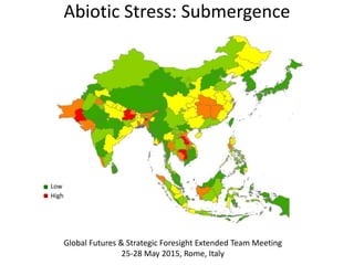 Global Futures & Strategic Foresight Extended Team Meeting
25-28 May 2015, Rome, Italy
Abiotic Stress: Submergence
Low
High
 
