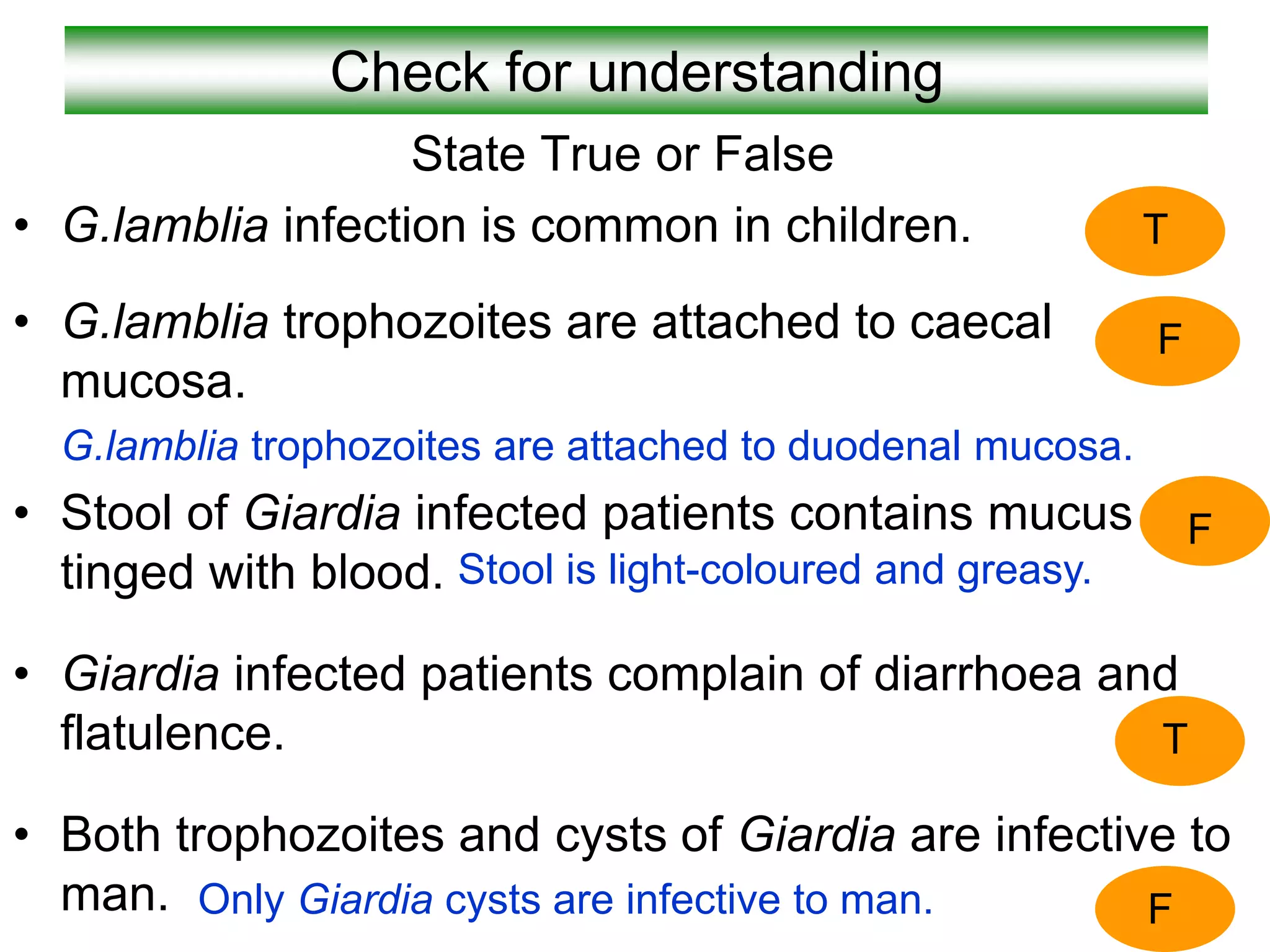 Check for understanding
State True or False
• G.lamblia infection is common in children.
• G.lamblia trophozoites are attached to caecal
mucosa.
G.lamblia trophozoites are attached to duodenal mucosa.
• Stool of Giardia infected patients contains mucus
tinged with blood.
• Giardia infected patients complain of diarrhoea and
flatulence.
• Both trophozoites and cysts of Giardia are infective to
man.
T
F
F
T
F
Only Giardia cysts are infective to man.
Stool is light-coloured and greasy.
 