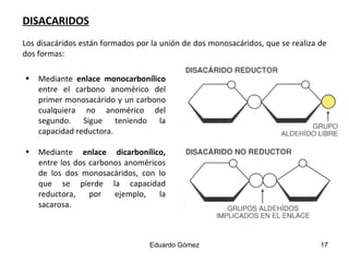 DISACARIDOS   Los disacáridos están formados por la unión de dos monosacáridos, que se realiza de dos formas:   Eduardo Gómez Mediante  enlace monocarbonílico  entre el carbono anomérico del primer monosacárido y un carbono cualquiera no anomérico del segundo. Sigue teniendo la capacidad reductora.  Mediante  enlace dicarbonílico,  entre los dos carbonos anoméricos de los dos monosacáridos, con lo que se pierde la capacidad reductora, por ejemplo, la sacarosa.  
