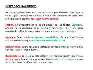 HETEROPOLISACÁRIDOS Los heteropolisacáridos son sustancias que por hidrólisis dan lugar a varios tipos distintos de monosacáridos o de derivados de estos. Los principales son  pectina ,  agar-agar  y  goma arábiga .   Pectina.  Se encuentra en la pared celular de los tejidos  vegetales . Abunda en la manzana, pera, ciruela y membrillo. Posee una gran capacidad gelificante que se aprovecha para preparar  mermeladas .   Agar-agar .  Se extrae de las  algas rojas o rodofíceas . Es muy hidrófilo y se utiliza en microbiología  para preparar medios de cultivo .    Goma arábiga.  Es una sustancia segregada por las  plantas  para cerrar sus heridas. Tiene interés industrial.   Hemicelulosas.  Grupo muy heterogéneo que engloba diversos polímeros de pentosas y hexosas que se encuentran  asociadas a la celulosa  y que tienen la misma función estructural que esta. 