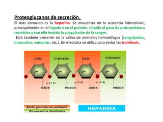 Proteoglucanos de secreción .  El más conocido es la  heparina . Se encuentra en la sustancia intercelular, principalmente en el  hígado y en el pulmón .  Impide el paso de protrombina a trombina y con ello impide la coagulación de la sangre . Está también presente en la saliva de animales hematófagos ( sanguijuelas ,  mosquitos ,  vampiros , etc.) .  En medicina se utiliza para evitar las  trombosis . 