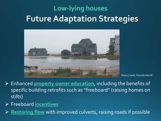 Low-lying houses
Future Adaptation Strategies
 Enhanced property owner education, including the benefits of
specific building retrofits such as “freeboard” (raising homes on
stilts)
 Freeboard incentives
 Restoring flow with improved culverts, raising roads if possible
Photo Credit: Pamela Merrill
 
