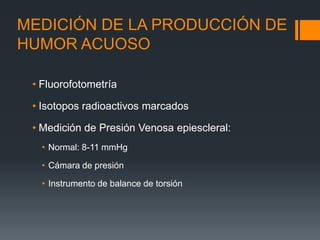 MEDICIÓN DE LA PRODUCCIÓN DE
HUMOR ACUOSO

 • Fluorofotometría

 • Isotopos radioactivos marcados

 • Medición de Presión Venosa epiescleral:
   • Normal: 8-11 mmHg

   • Cámara de presión

   • Instrumento de balance de torsión
 