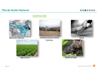 Plan de Acción Nacional

                                      ADAPTACIÓN




            Recursos Hídricos              Infraestructura y zonas                     Salud
                                                  Costeras




                        Agricultura                                  Biodiversidad



  Pág.-33                                                                            www.innovacionambiental.cl
 
