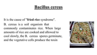 Bacillus cereus
It is the cause of "fried rice syndrome".
B. cereus is a soil organism that
commonly contaminates rice. When large
amounts of rice are cooked and allowed to
cool slowly, the B. cereus spores germinate,
and the vegetative cells produce the toxin
 