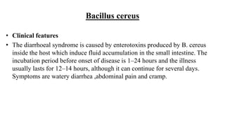 Bacillus cereus
• Clinical features
• The diarrhoeal syndrome is caused by enterotoxins produced by B. cereus
inside the host which induce fluid accumulation in the small intestine. The
incubation period before onset of disease is 1–24 hours and the illness
usually lasts for 12–14 hours, although it can continue for several days.
Symptoms are watery diarrhea ,abdominal pain and cramp.
 