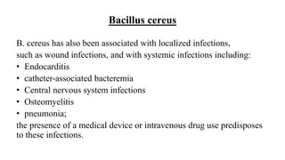 Bacillus cereus
B. cereus has also been associated with localized infections,
such as wound infections, and with systemic infections including:
• Endocarditis
• catheter-associated bacteremia
• Central nervous system infections
• Osteomyelitis
• pneumonia;
the presence of a medical device or intravenous drug use predisposes
to these infections.
 