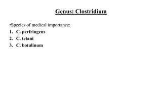 Genus: Clostridium
•Species of medical importance:
1. C. perfringens
2. C. tetani
3. C. botulinum
 