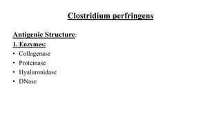 Clostridium perfringens
Antigenic Structure:
1. Enzymes:
• Collagenase
• Proteinase
• Hyaluronidase
• DNase
 