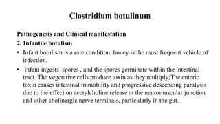 Clostridium botulinum
Pathogenesis and Clinical manifestation
2. Infantile botulism
• Infant botulism is a rare condition, honey is the most frequent vehicle of
infection.
• infant ingests spores , and the spores germinate within the intestinal
tract. The vegetative cells produce toxin as they multiply;The enteric
toxin causes intestinal immobility and progressive descending paralysis
due to the effect on acetylcholine release at the neuromuscular junction
and other cholinergic nerve terminals, particularly in the gut.
 