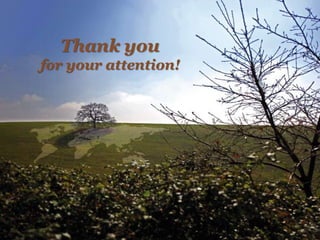 Thank you
for your attention!
 