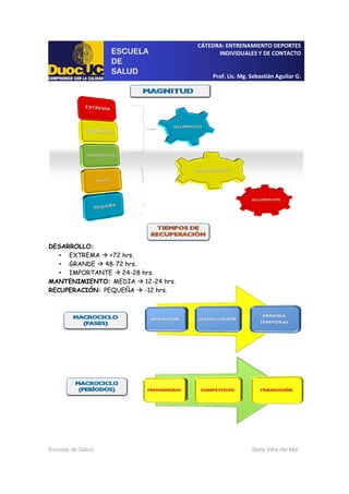 CÁTEDRA: ENTRENAMIENTO DEPORTES
INDIVIDUALES Y DE CONTACTO
Prof. Lic. Mg. Sebastián Aguilar G.
Escuela de Salud Sede Viña del Mar
DESARROLLO:
• EXTREMA +72 hrs.
• GRANDE 48-72 hrs.
• IMPORTANTE 24-28 hrs.
MANTENIMIENTO: MEDIA 12-24 hrs.
RECUPERACIÓN: PEQUEÑA -12 hrs.
 