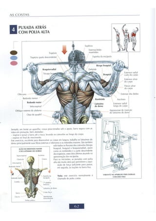 Guia dos movimentos de musculação, abordagem anatômica (português, ilustrado,135 pgs)