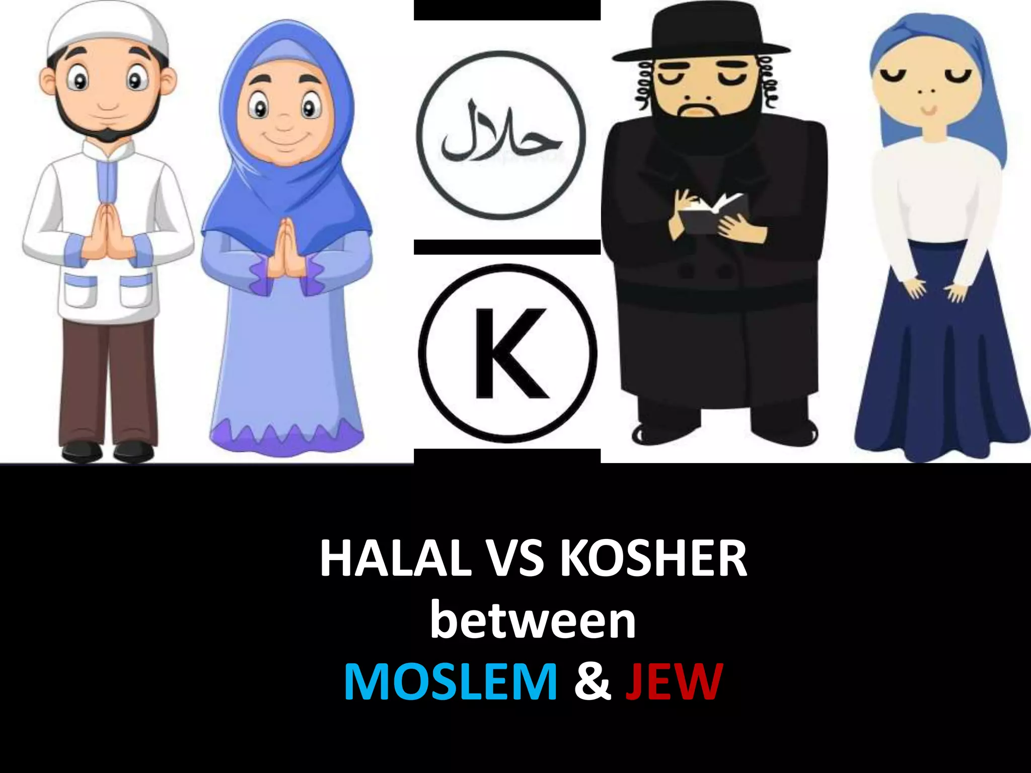 Halal visual data 8