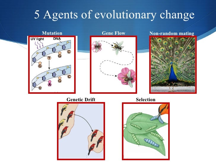 Concepts Of Natural And Group Selection Concepts Of Natural And Group Selection